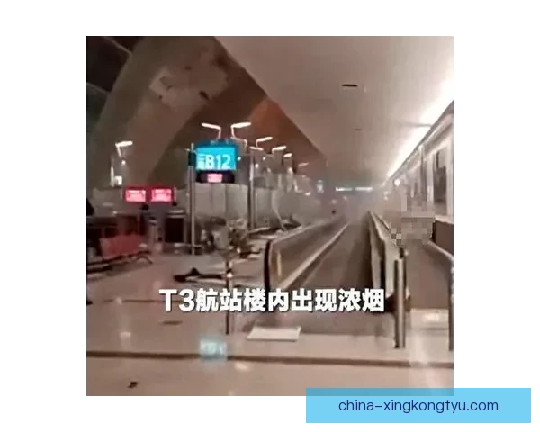 周意迪拜滞留发文：打球成战地记者